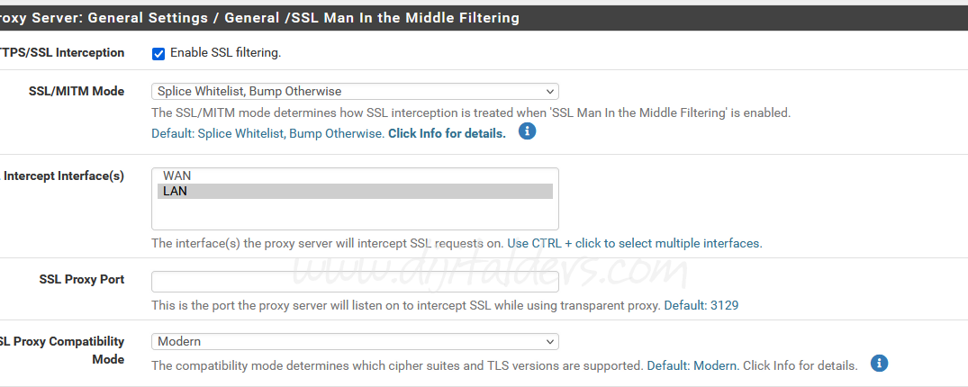 Squid Guard İle İp Gruplarına Göre URL Yasaklama